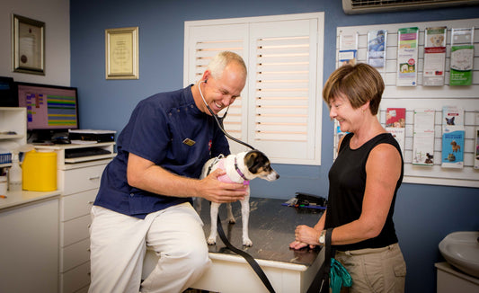 How To Make Vet Visits Less Scary For Your Dog