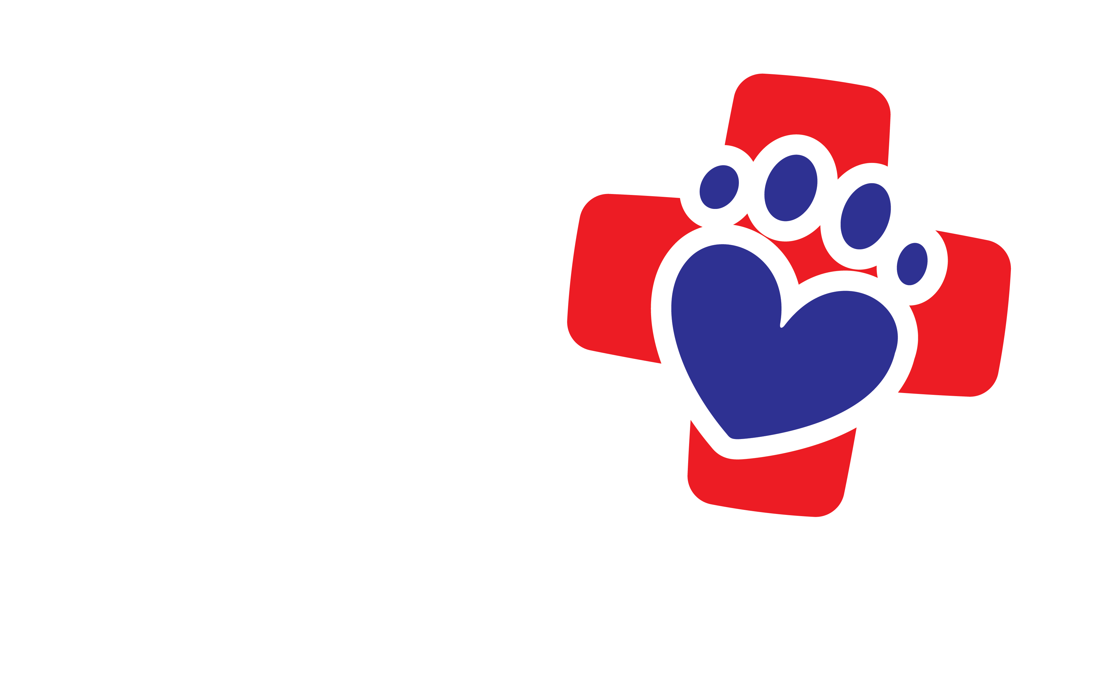 Port Macquarie Veterinary Hospital